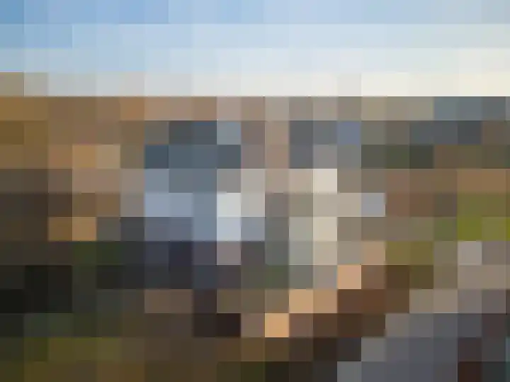 Zoete Kers 37 Helmond thumbnail 42