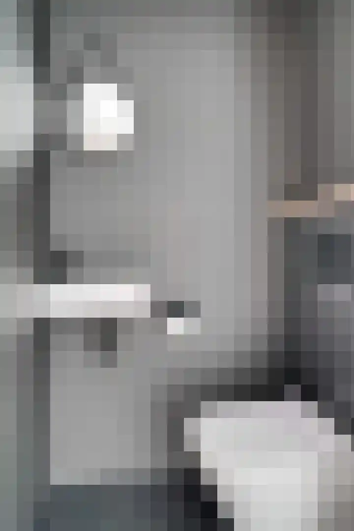 Zoete Kroon 12 Duiven thumbnail 11