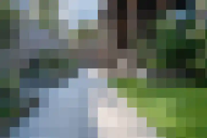 Zoete Kroon 12 Duiven thumbnail 22