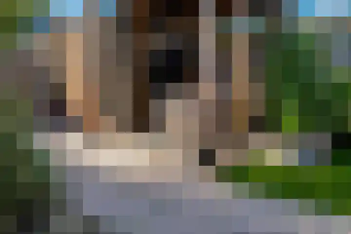 Zoete Kroon 12 Duiven thumbnail 25