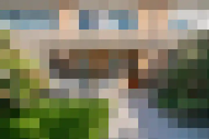 Zoete Kroon 12 Duiven thumbnail 28