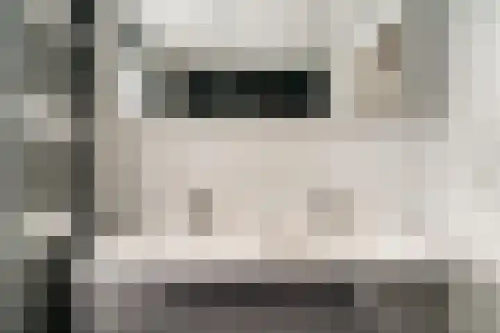Zoete Kroon 12 Duiven thumbnail 31