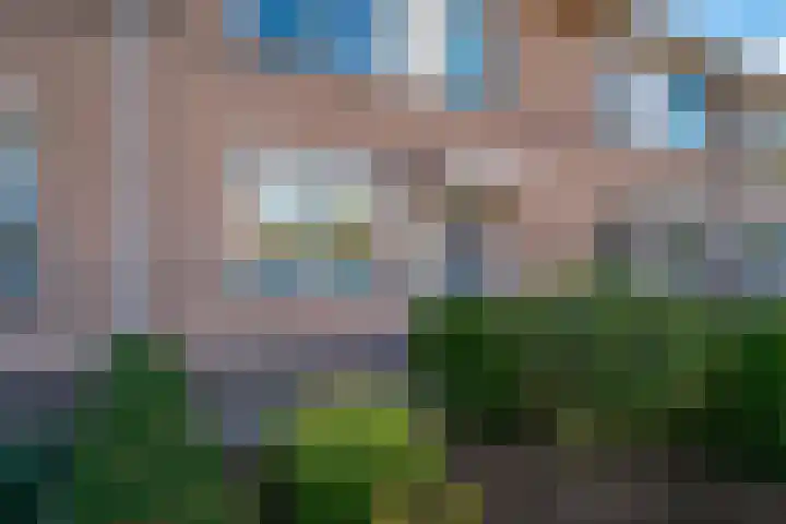 Zoete Kroon 12 Duiven thumbnail 8