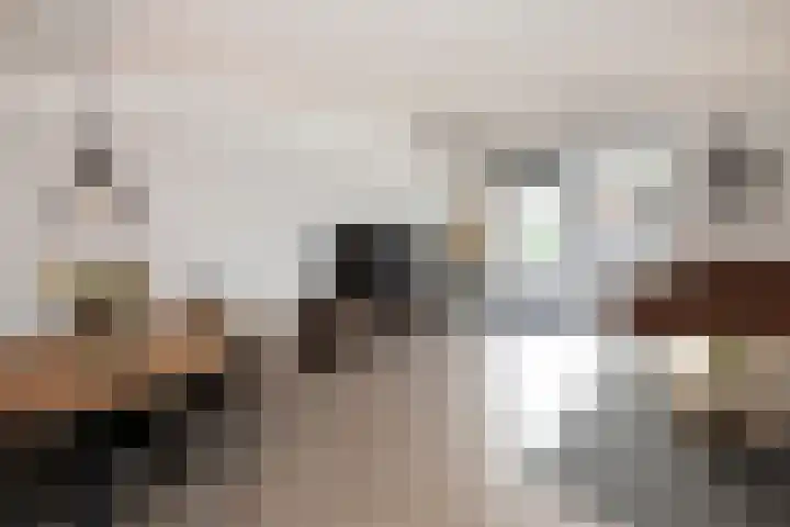 Zoete Kroon 36 Duiven thumbnail 12