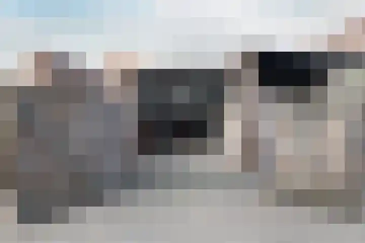 Zoete Kroon 36 Duiven thumbnail 16