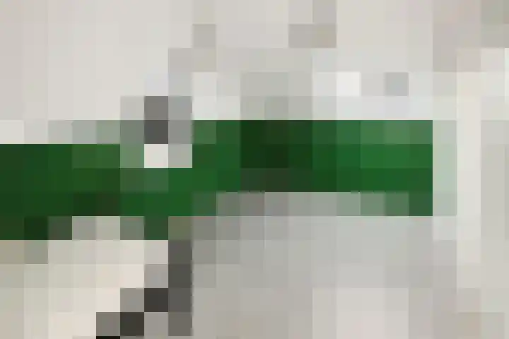 Zoete Kroon 36 Duiven thumbnail 28