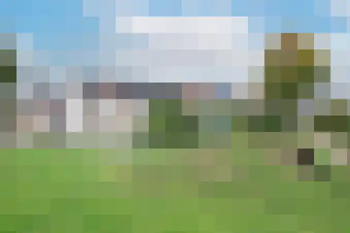 Zoete Kroon 36 Duiven thumbnail 32