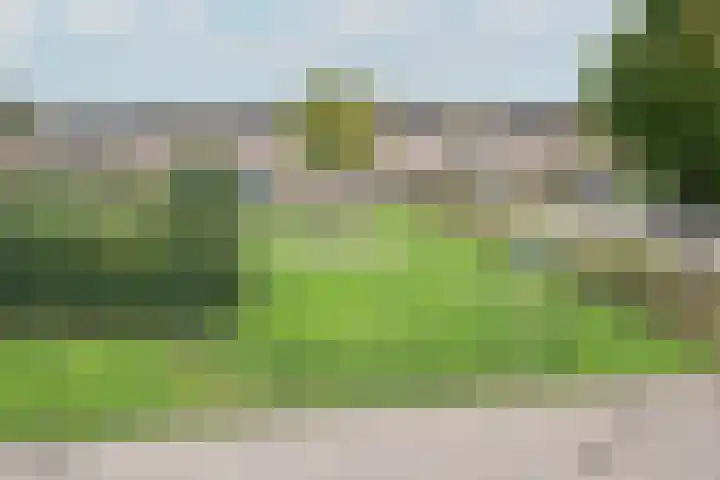Zoete Kroon 36 Duiven thumbnail 34