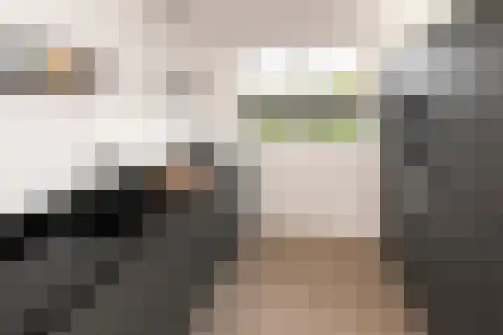 Zoete Kroon 36 Duiven thumbnail 4
