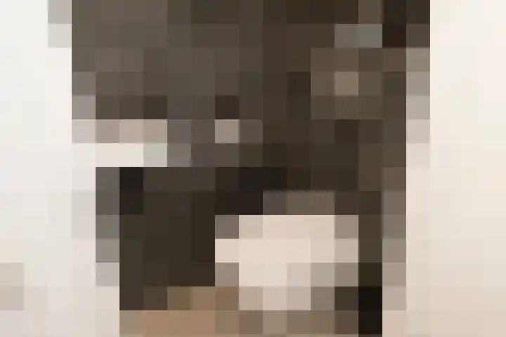 Zoete Kroon 36 Duiven thumbnail 8