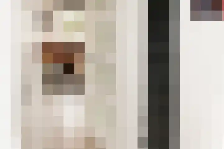 Zoete Kroon 36 Duiven thumbnail 9