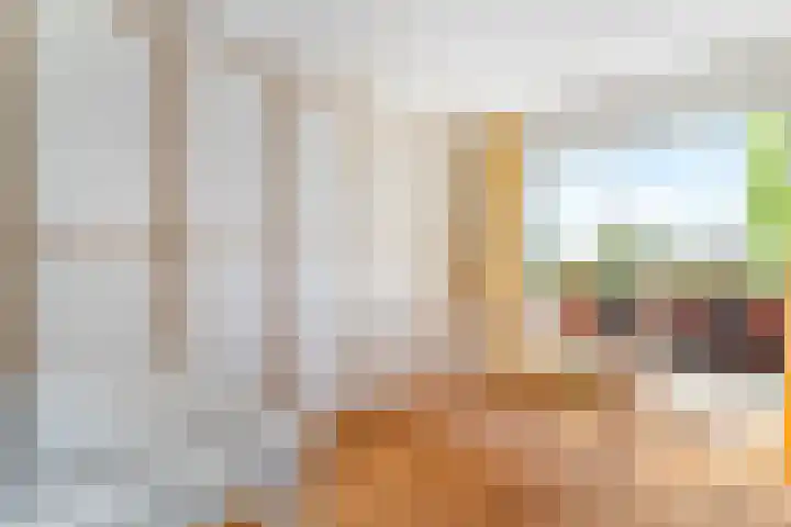 Zoetegaarde 36 Amersfoort thumbnail 21