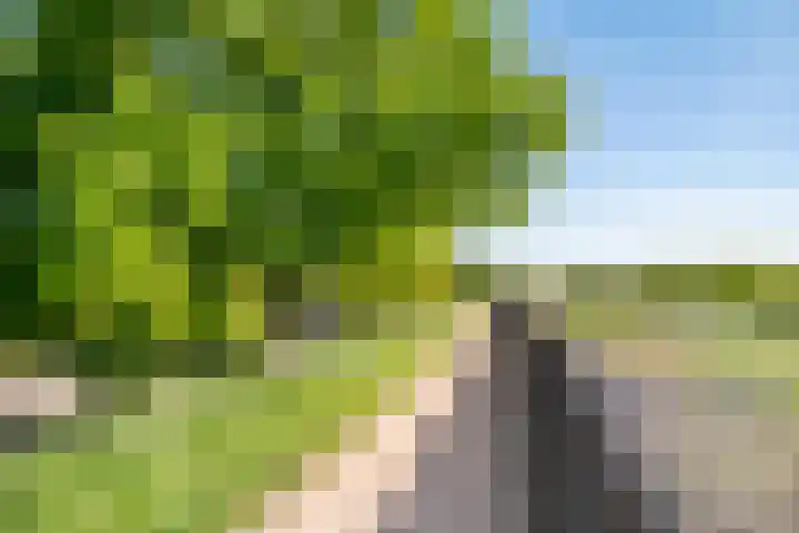 Zoetegaarde 36 Amersfoort thumbnail 33