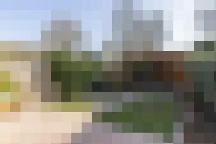 Zoetendaal 105 Elst thumbnail 28