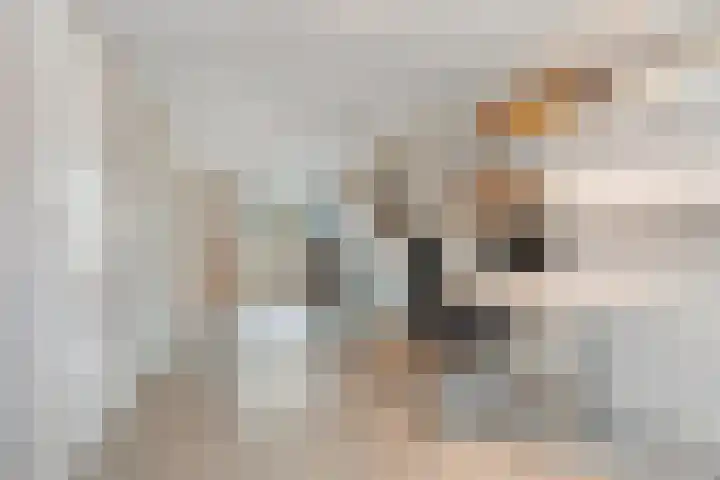 Zoetendaal 199 Elst thumbnail 20