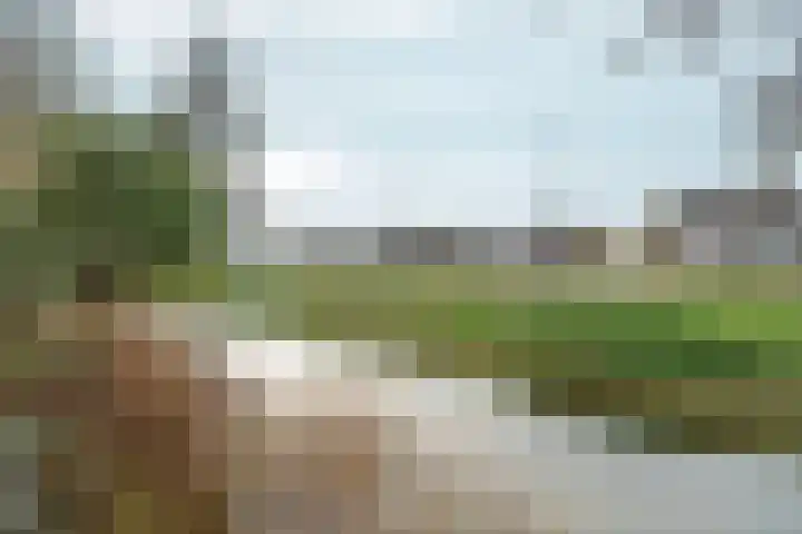 Zoetendaal 199 Elst thumbnail 31