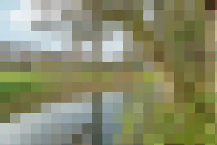 Zoetendaal 199 Elst thumbnail 32