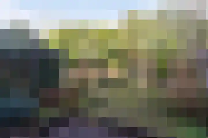 Zoetendaal 239 Elst thumbnail 17