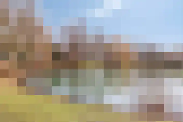 Zoetendaal 239 Elst thumbnail 36