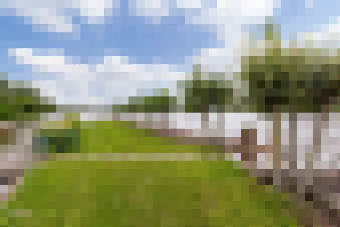 Zoetendijk Reeuwijk