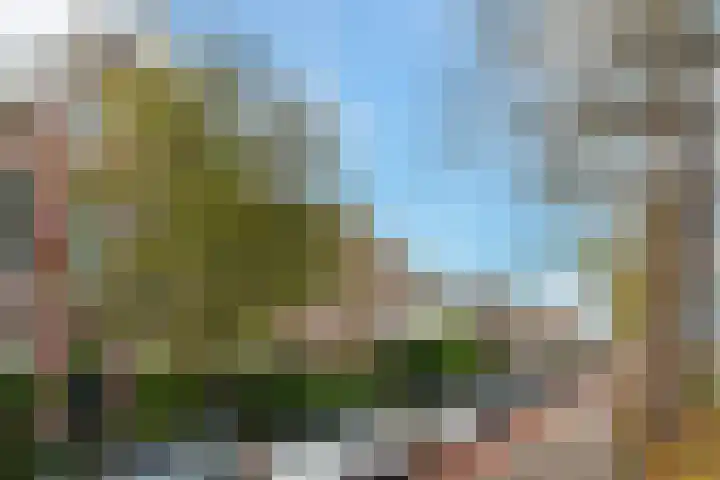 Zoeterwoudsesingel 17 Leiden thumbnail 62