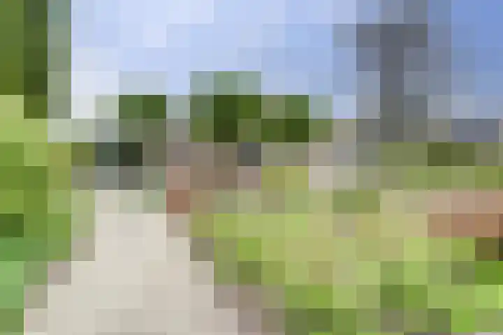 Zomer 72 Dronten thumbnail 37