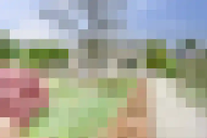 Zomer 72 Dronten thumbnail 39