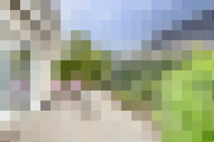 Zomer 72 Dronten thumbnail 42