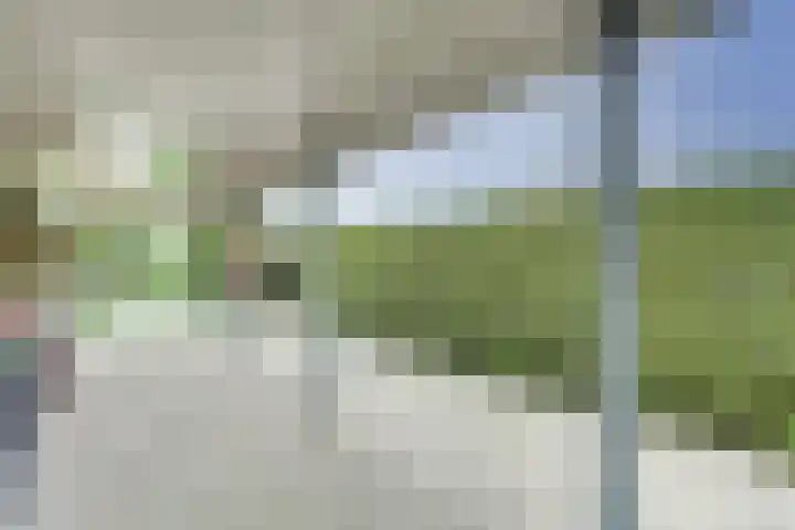 Zomer 72 Dronten thumbnail 43