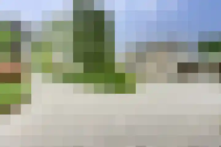 Zomer 72 Dronten thumbnail 44