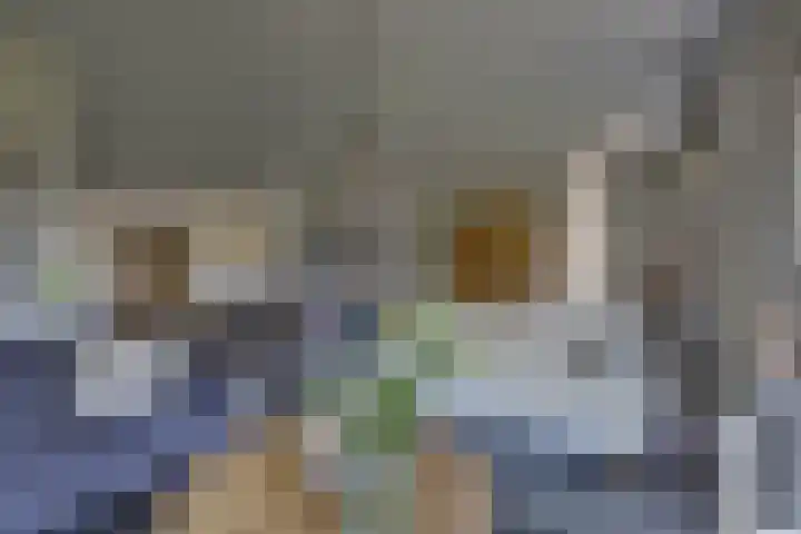 Zomerbed 28 Kampen thumbnail 15