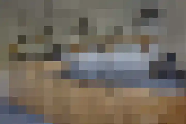 Zomerbed 28 Kampen thumbnail 21
