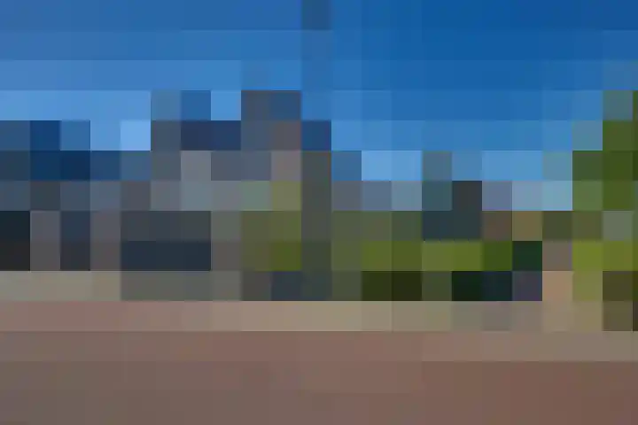 Zomerbed 28 Kampen thumbnail 41