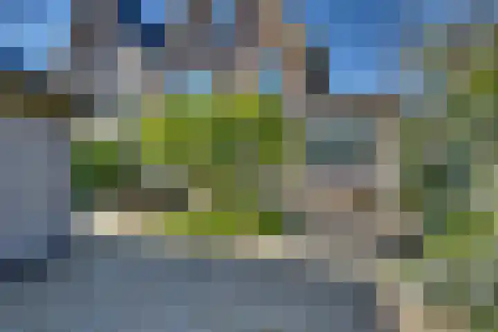 Zomerbed 28 Kampen thumbnail 43