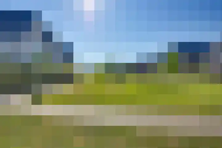 Zomerbed 28 Kampen thumbnail 45