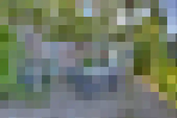 Zomerbed 28 Kampen thumbnail 5