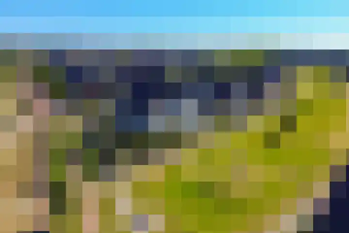 Zomerbed 28 Kampen thumbnail 6