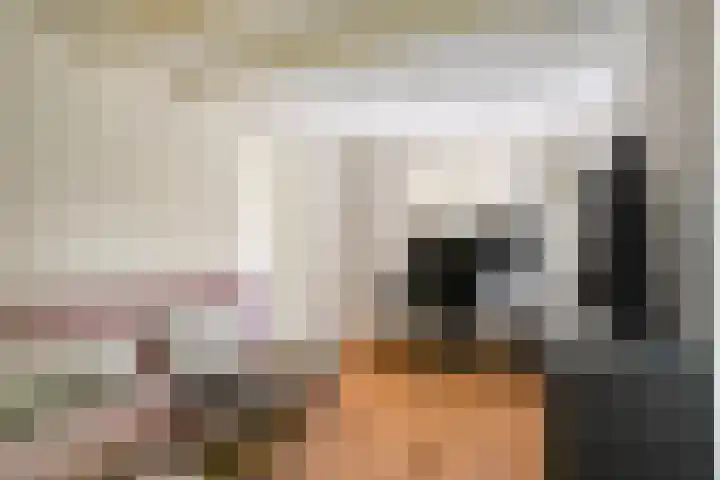 Zomereik 13 Best thumbnail 16