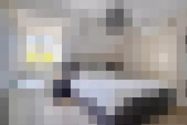 Zomereik 13 Best thumbnail 17