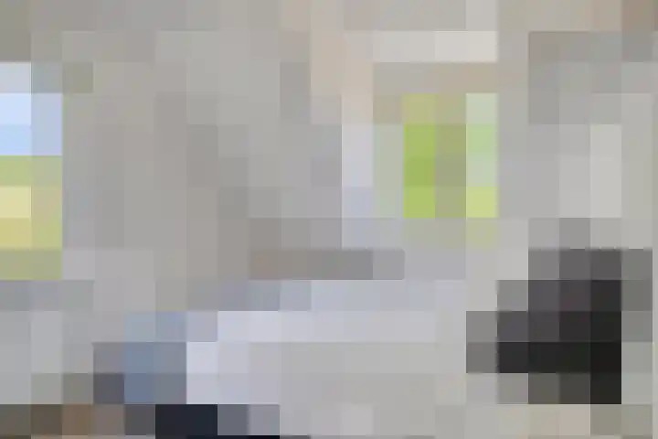Zomereik 13 Best thumbnail 23