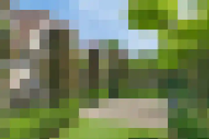 Zomereik 13 Best thumbnail 27