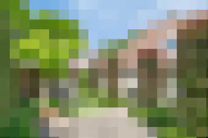 Zomereik 13 Best thumbnail 28