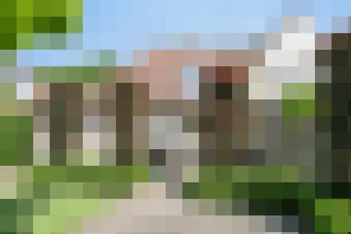 Zomereik 13 Best thumbnail 29