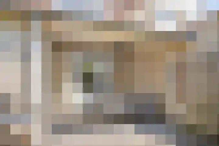 Zomereik 13 Best thumbnail 30