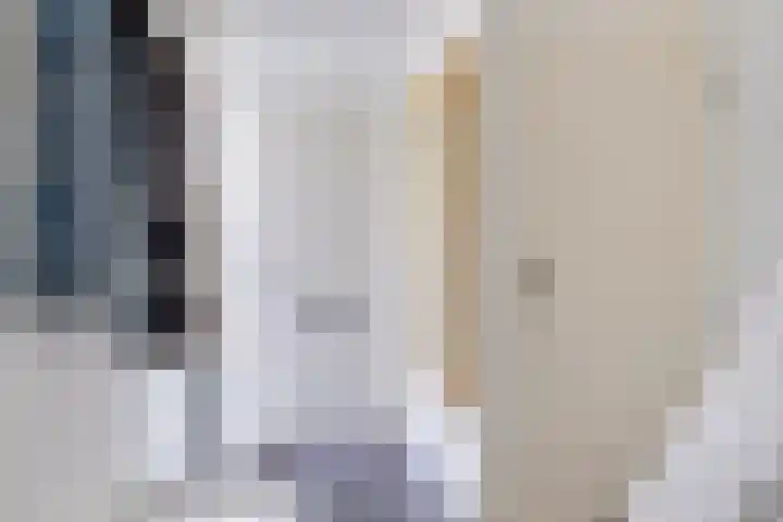 Zomereik 13 Best thumbnail 5