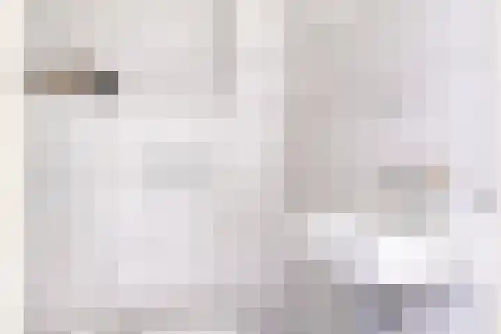 Zomereik 13 Best thumbnail 7