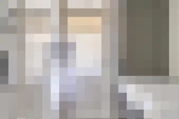 Zomereik 13 Best thumbnail 8
