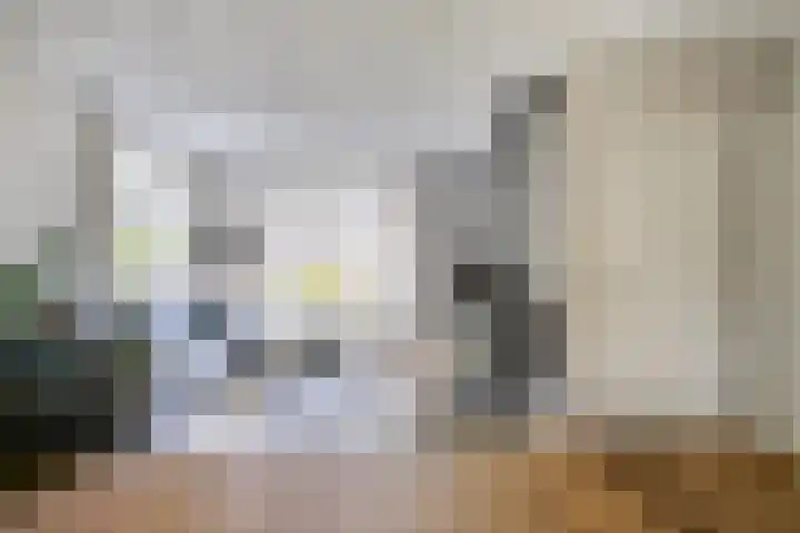 Zomereik 13 Best thumbnail 9