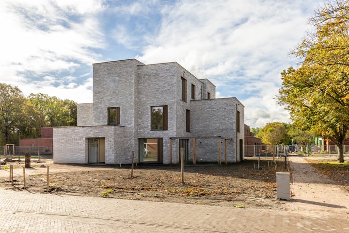 Zomereik 6 in Cruquius foto