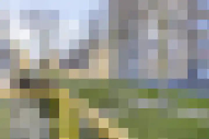 Zomergemstraat 62 Breda thumbnail 30